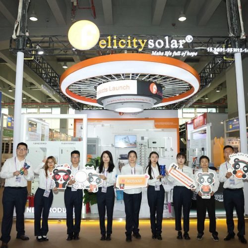 Felicitysolar2025SpringCantonFair1