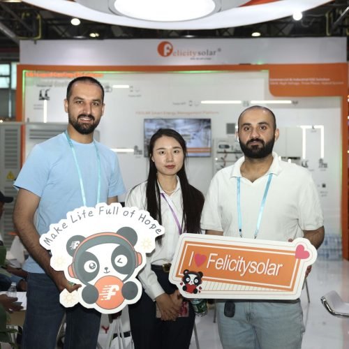 Felicitysolar2025SpringCantonFair5