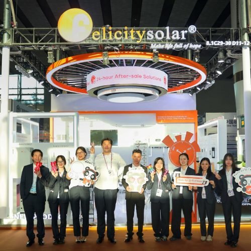 Felicitysolar2025SpringCantonFair8-e0a0
